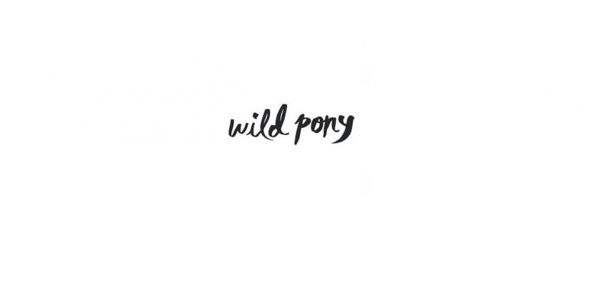 Wild Pony