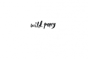 Wild Pony